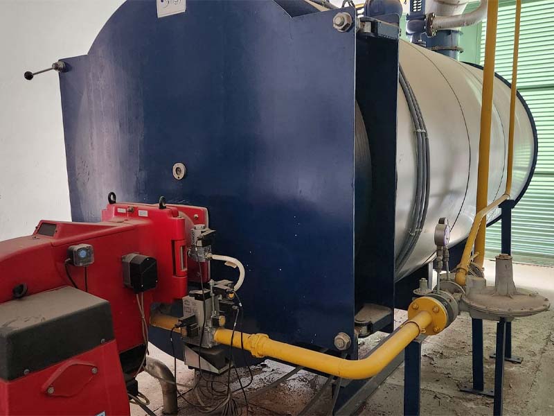 inspeccion anual reglamentaria caldera vapor 2