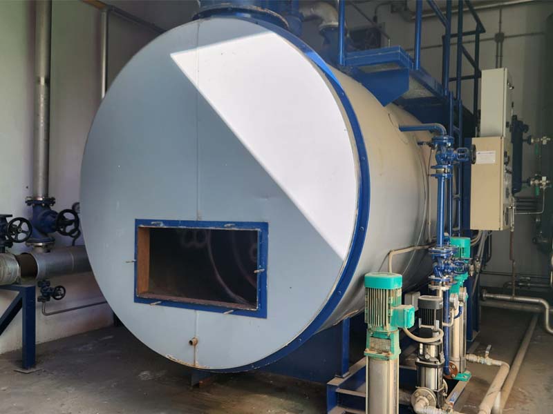 Inspección anual reglamentaria de caldera de vapor