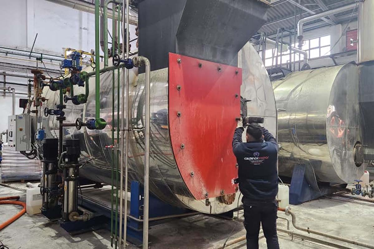 inspeccion anual reglamentaria mantenimiento caldera vapor 5