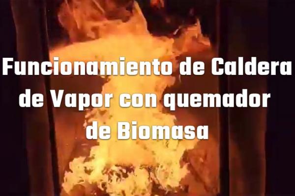 Funcionamiento de caldera de vapor con quemador de biomasa