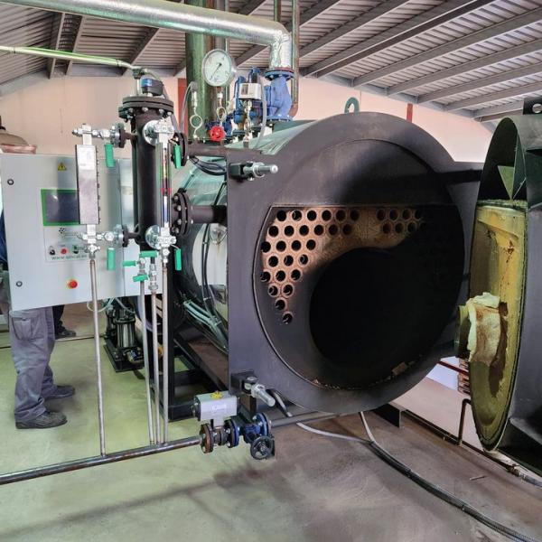 Inspección anual obligatoria de caldera de vapor en planta hortofrutícola