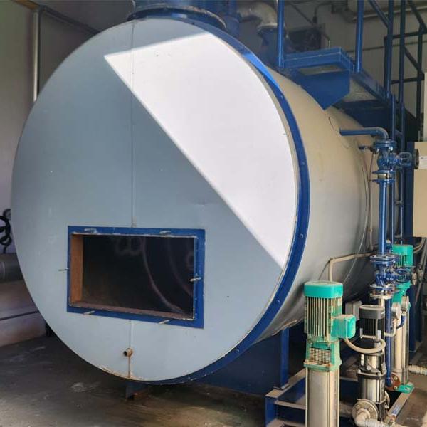 Inspección anual reglamentaria de caldera de vapor