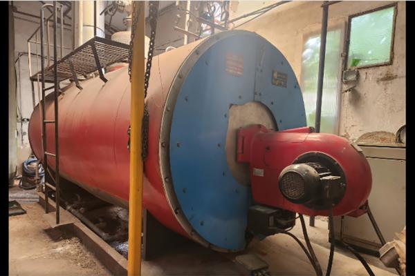 Inspección anual reglamentaria de calderas de vapor en fábrica de berenjenas y encurtidos. Ciudad Real.