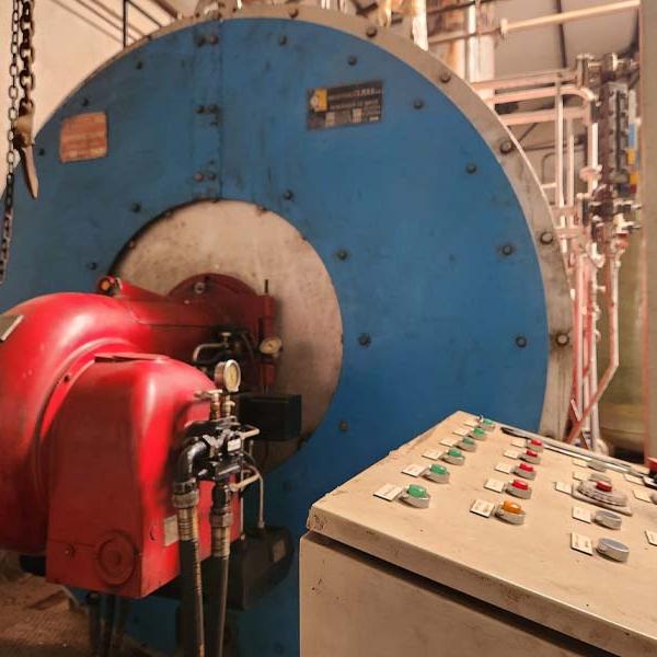 Inspección anual reglamentaria de dos calderas de vapor en fabrica de berenjenas