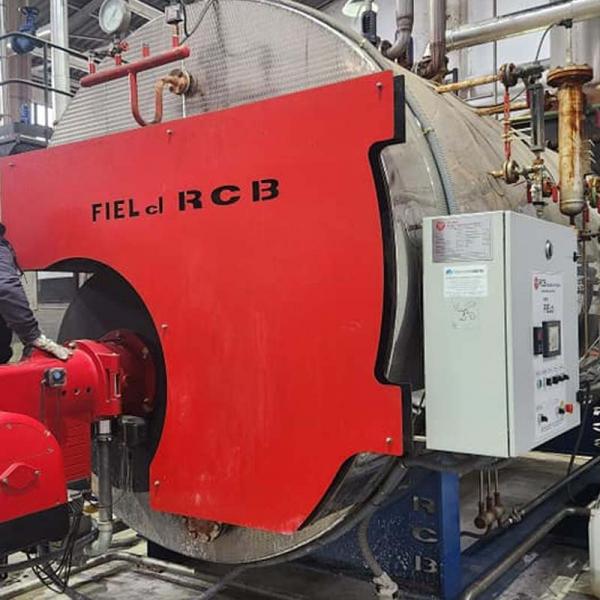 Inspección Anual Reglamentaria y Mantenimiento de Caldera a Vapor. Fabrica Mosto Concentrado
