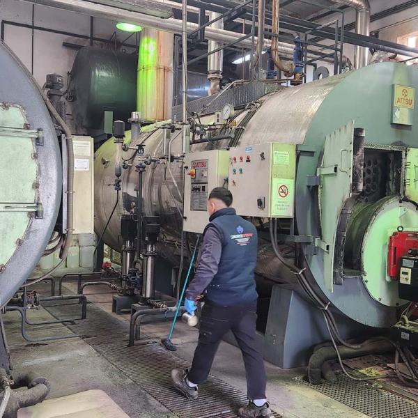 Inspección Periódica de Caldera de Vapor en Fábrica de Conservas